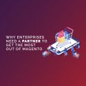Why Enterprises Need a Partner to get the most of magento