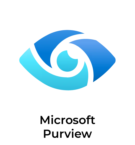 Microsoft_Purview_Color Microsoft Purview Color