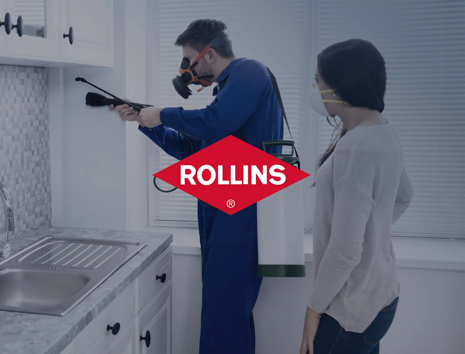 Postcard Image Rollins